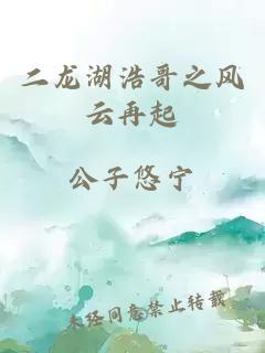 二龙湖浩哥之风云再起