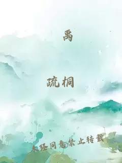 囘禹