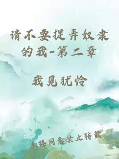 请不要捉弄奴隶的我-第二章