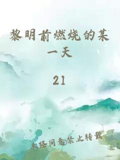 黎明前燃烧的某一天