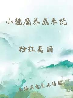 小魅魔养成系统