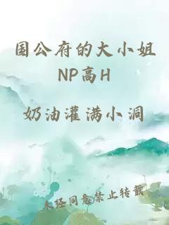 国公府的大小姐NP高H