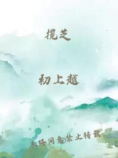 揽芝