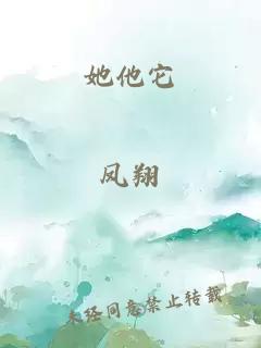 她他它