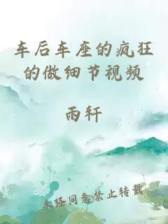车后车座的疯狂的做细节视频
