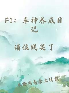 F1:车神养成日记